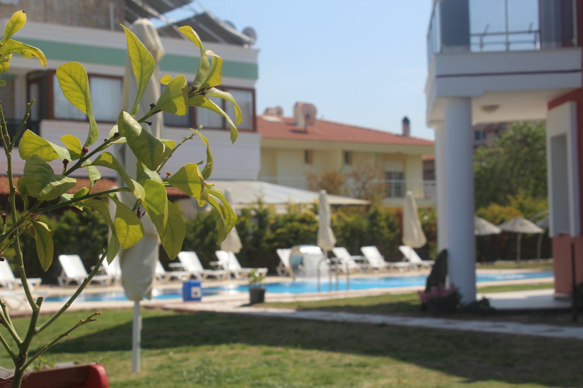 Cilek Butik Hotel Çeşme المظهر الخارجي الصورة